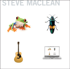 MACLEAN, STEVE: Frog Bug Guitar Computer